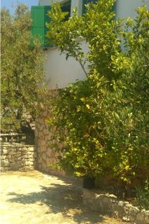 Secluded fisherman's cottage Cove Zincena, Pasman - 12982 - Tkon (Tuconio) - 4