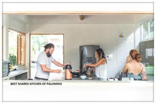Freesoul Hostel - Palomino - 4
