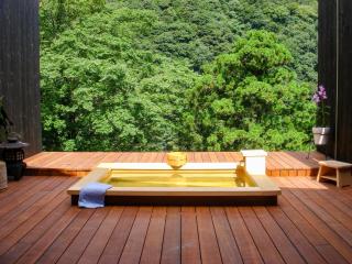 Seikansou - Hakone - 0