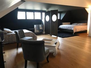 Vaste Chambre Privée proche du Centre de Rennes - Rennes - 4