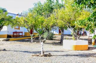 Monte da Tarouca no Alto Alentejo - Portalegre - 4
