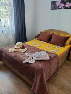 Casa Tenciu - Sînpetru - 4