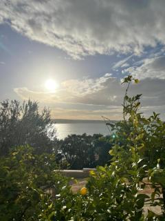 Apartments with a parking space Starigrad, Paklenica - 12939 - Starigrad-Paklenica - 3