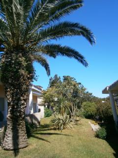 Appartamenti Il Giardino - Porto Rotondo - 0