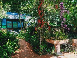 Phi Hung's Unique Homestay - 2