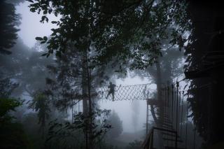 Tea Valley Resort, Munnar - 1