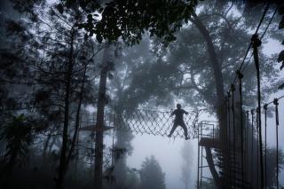 Tea Valley Resort, Munnar - Munnar - 3