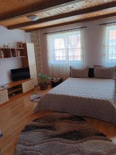 Casa de vacanta Alina Transfagarasan - 1
