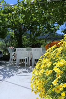 Apartments with a parking space Zuljana, Peljesac - 252 - Žuljana - 4
