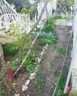 Apartments and rooms by the sea Zuljana, Peljesac - 256 - Žuljana - 4