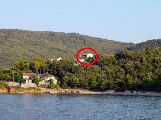 Apartments by the sea Valun, Cres - 386 - Valun - 0
