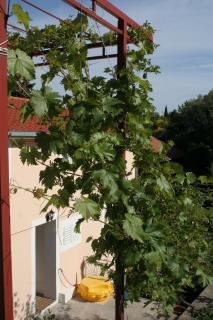 Apartments by the sea Trpanj, Peljesac - 257 - Trpanj - 4