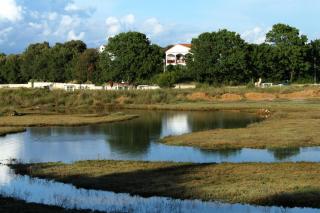 Family friendly seaside apartments Zaton, Zadar - 298 - 0