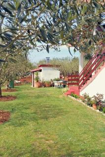 Family friendly seaside apartments Zaton, Zadar - 298 - 1