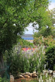 Apartments by the sea Nerezine, Losinj - 330 - Nerezine - 3