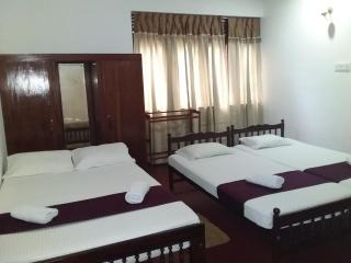 Lazy Bear Best Hostel in Kandy - Kandy - 8