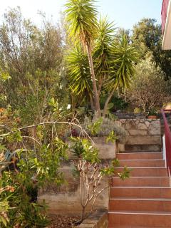 Apartments by the sea Brna - Vinacac, Korcula - 13344 - Prižba - 5