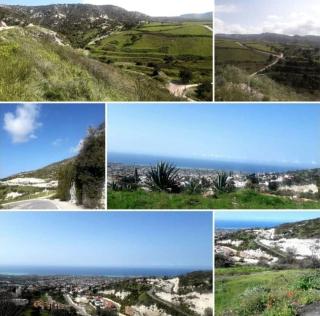 Panoramic Holidays - Standard 49 - Peyia - 2