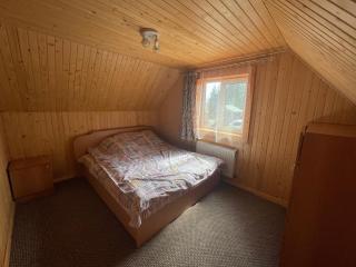 Mini Cottage - Yablunytsya - 1
