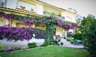GALIHOST - Finca de Roque - 8