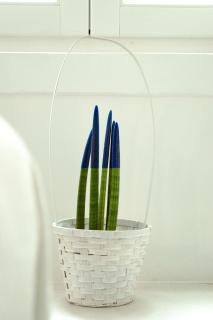 Casa Vacanze L'essenziale - 6