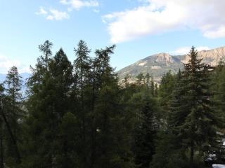 Studio prestige 4 pers, skis aux pieds, cheminée, balcon, sans animaux, wifi libre - FR-1-322-441 - Les Orres - 1