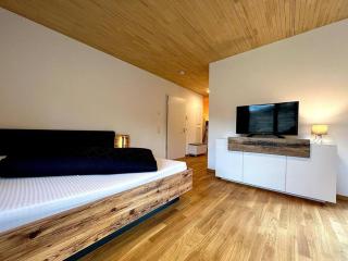 Studio Tiengen - zentraler Neubau - Barrierefrei im Erdgeschoss - Waldshut-Tiengen - 0