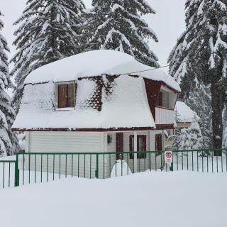 VillaRonda numai în intregime, max 5 persoane, min 4 zile, 130 mp bine incalziti, 3 dormitoare, sufragerie, bucatarie, veranda, terasa, curte cu parcare si grătar, ideala pentru lucru la distanta, insorita, discreta, zona linistita, usor accesibila - Predeal - 4