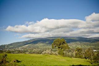 Poas Volcano Lodge - Vara Blanca - 4