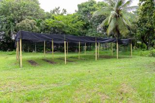 Hostal Campomar - Santa Veronica - 1