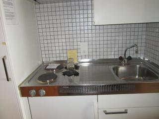 Studio im Hotel Des Alpes - Flims - 3