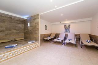 Alexain Hotel Restaurant & Wellness - Colmar Ouest - Trois-Épis - 1
