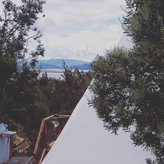 Alas Glamping La Cima - 7