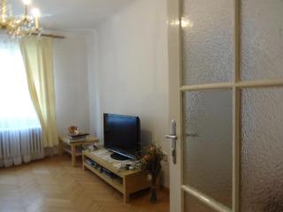 Helle freundliche Wohnung im Zentrum - Vienne - 2