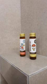 Evina's Apartment - 2