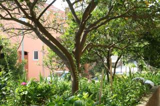 Apartment Podgora 518b - Podgora - 4