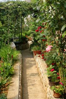 Apartment Mandre 523a - Kolan - 3