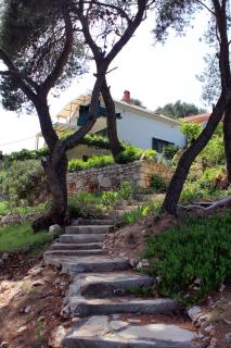 Apartments by the sea Basina, Hvar - 542 - Vrbanj - 8