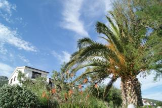 Apartment Zavala 553d - Jelsa (Gelsa) - 8
