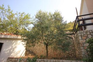 Seaside secluded apartments Cove Dumboka bay - Dumboka (Dugi otok) - 489 - Sali - 3