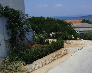Apartments by the sea Sali, Dugi otok - 444 - Sali - 4