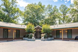 Halesford Harbour Resort - Smith Mountain Lake - Moneta - 9