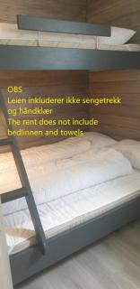 Oppdal Alpintun Stølen ski in - ski out - 8