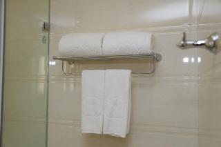Soluxe Hotel Almaty - 8