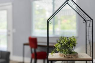 Sea Glass Cottage - minutes to Downtown St Pete and the beaches - 4