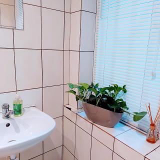 Medova Apartments - Lviv - 9