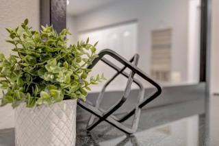 Adventure Awaits in Tampa Bay with Beautiful Decor 4BR with Backyard Oasis Near Busch Gardens & Adventure Island - Tampa - 8