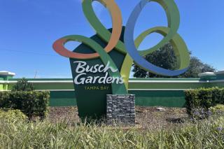 Adventure Awaits in Tampa Bay with Beautiful Decor 4BR with Backyard Oasis Near Busch Gardens & Adventure Island - Tampa - 3