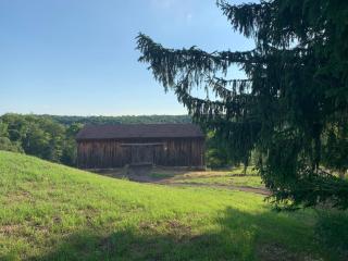 Serene 6BR country home on 325 acres ATV for rent - 5