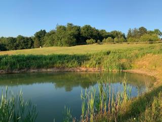 Serene 6BR country home on 325 acres ATV for rent - 3